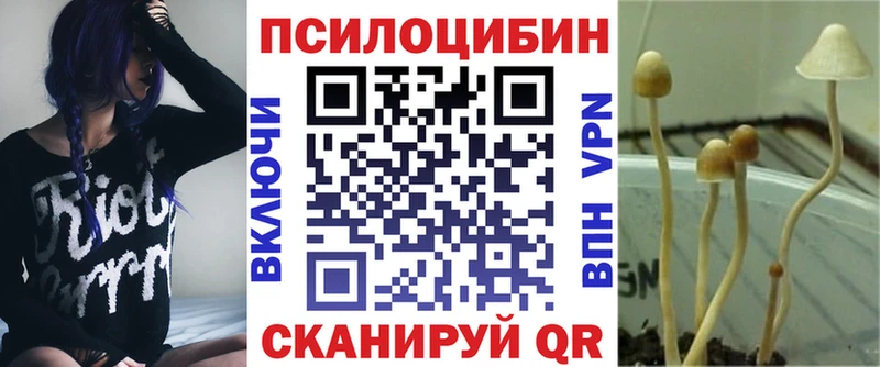 Псилоцибиновые грибы Cubensis  Лагань 